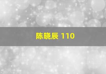 陈晓辰 110